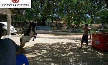 Imagem 6: Lote em Paracuru com 130 metros há 4 km do mar