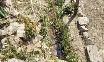 Imagem 6: Sitio, 21.000 m?, casa com 4 quartos, nascente, c?rrego, lagoa, curral