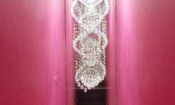 Imagem 2: Franquia Extensão de cílios