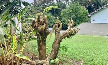 Imagem 4: WP4896 - Amplo sobrado no bairro Glória