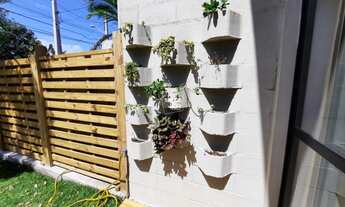 Imagem 4: FLORIANóPOLIS - Casa Padrão - Campeche