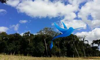 Imagem: Linda área para lazer, moradia ou preservação