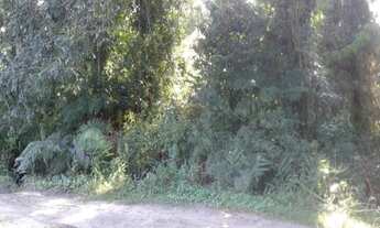 Imagem 12: Terreno a Venda - 409,60 m2 - Balneário Santa Terezinha - Itapoá/ SC