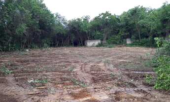 Imagem 6: Terreno Industrial com 17500 m² no Centro Industrial de Ribeirão das Neves