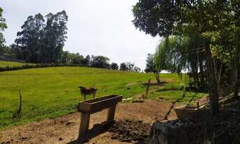 Imagem 3: Chácara com 40000 metros Casa cercada área para plantio, Perfeita!
