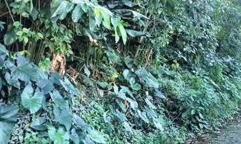 Imagem 4: Terreno para venda em Guapimirim (próximo à Casa do Queijo