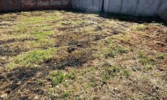 Imagem 2: Lote a venda - 231m setor limoeiros