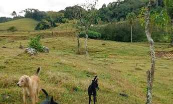 Imagem 2: Sítio / Chácara para Venda em Blumenau, Encano