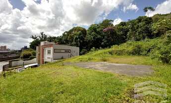 Imagem 4: JOINVILLE - Terreno Padrão - Boa Vista