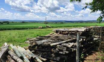 Imagem 7: Fazenda - Indiara (GO