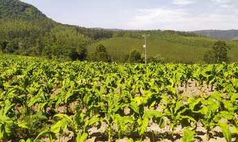 Imagem: Chácara com 40000 metros Casa cercada área
