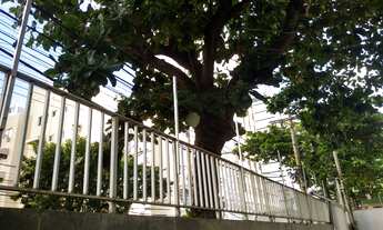 Imagem 2: Cobertura com 187 m² Pituba - Salvador - BA