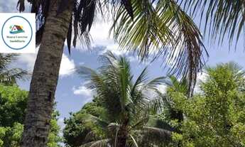Imagem 6: Lote/Terreno para venda com 800 metros quadrados em Centro - Santa Cruz Cabrália - BA