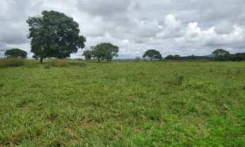 Imagem 4: Chácara 20mil metros maripotaba