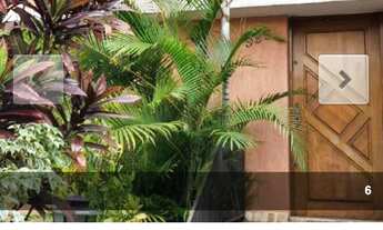 Imagem 5: Vende-se um sobrado