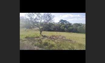 Imagem 4: Chacaras 2500 metros no girassol go