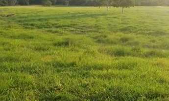 Imagem 7: Fazenda em Poconé MT