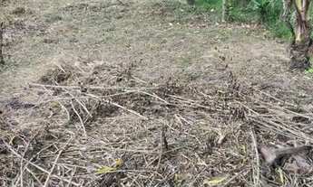 Imagem 5: Venda ou troca Chácara com venda por R$80.000