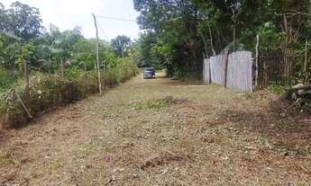 Imagem 7: Terreno em Mosqueiro