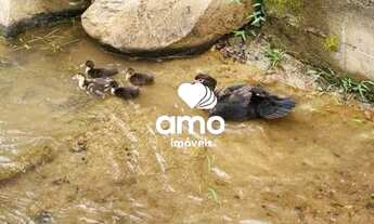 Imagem 2: Sítio à venda no Bairro Limeira