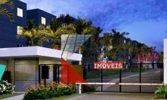 Imagem: Apartamentos à venda 4 opções de plantas