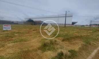 Imagem 4: Terreno Trindade codigo: 24749