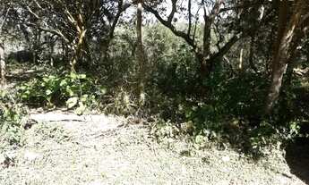 Imagem 3: Lote/Terreno para venda possui 320 metros quadrados em Cascalho - Tiradentes - MG