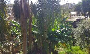 Imagem: Vende-se uma mini chacara em oficinas