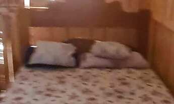 Imagem 7: Casa a venda ótimo negócio