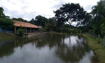 Imagem 2: Vendo chácara de 5 alqueiros 240 mil mts2