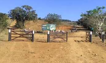 Imagem 5: Condominio de fazendinhas em Pedro Leopoldo, áreas planas e com terra boa para plantio