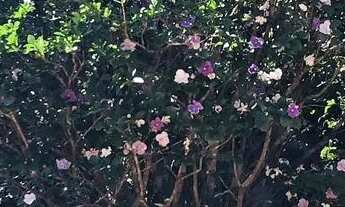 Imagem 4: Excelente casa de condomínio para venda em Nova Lima