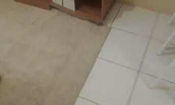 Imagem 2: Apartamento compacto duplex Siqueira próximo João Filho