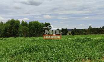 Imagem: Chácara município de Bela Vista de Goiás