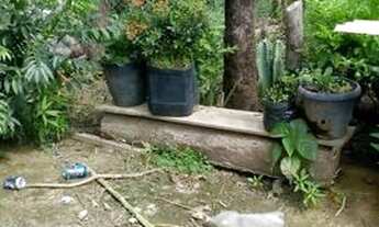 Imagem 7: Sitio samauma Chácara com venda por R$100.000