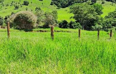 Imagem 3: Chácara de 5 alqueires 15 munutos de Itauçu-GO