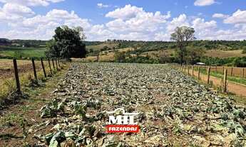 Imagem 6: Fazendinha de Dupla Aptidão, localizada no mun. de Leopoldo de Bulhões