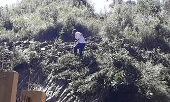 Imagem 2: Chácara em Almirante Tamandaré