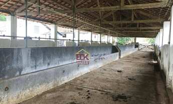 Imagem 7: Fazenda com 10 dormitórios à venda, m² por R$ 70.000.000,00 - Fazenda Caetê, - Santa Bran