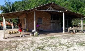 Imagem 5: Sítio com casa de alvenaria BR 174