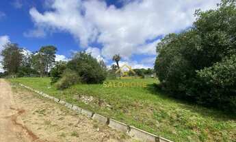 Imagem 7: Salomone vende Lindo terreno de esquina medindo 2152 me