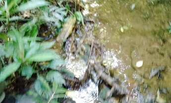 Imagem: Super oportunidade pegada ao centro de juquitiba