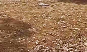 Imagem 5: Lote Terreno / lote com venda por R$15.000