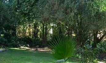 Imagem 6: Lindo Sítio com 8000m² e casa com 340m² em região de condomínios na Taquara - RJ