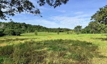 Imagem: Fazenda a venda, Próximo a Palmas-TO, Oportunidade
