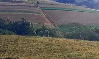 Imagem 7: 2. Decida hoje: mais natureza ou mais estresse?