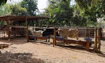 Imagem 6: Chácara bem pertinho, no DF região do parque Águas Correntes