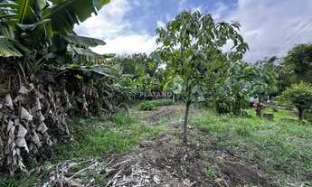 Imagem 5: Imóvel no Cidade Nova, Ivoti