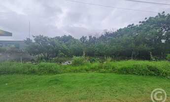 Imagem 2: Terreno amplo em localização estratégica em Florianópolis