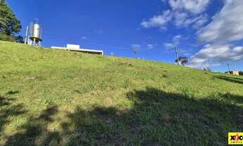 Imagem 5: Terreno para Venda em Nova Petrópolis, Vila Olinda